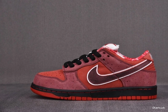 313170-661 Low Lobster SB Nike Concepts Dunk Red 0909